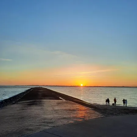 아파트 In't Noord Plicht 토센스