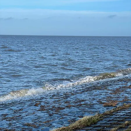 In't Noord Plicht 토센스