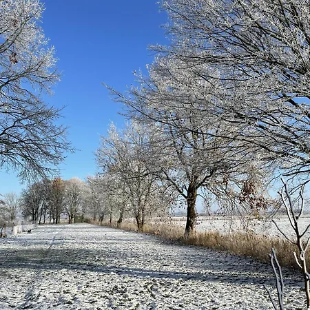 In't Noord Plicht 토센스